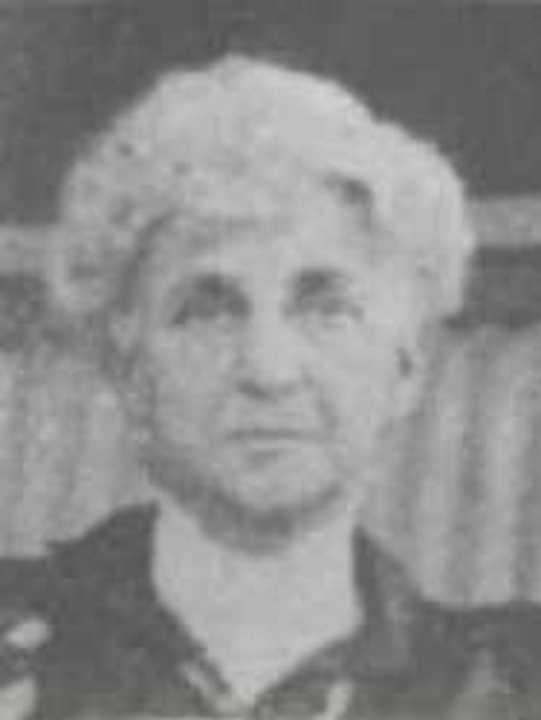 Jane Boardman (1853 - 1946) Profile